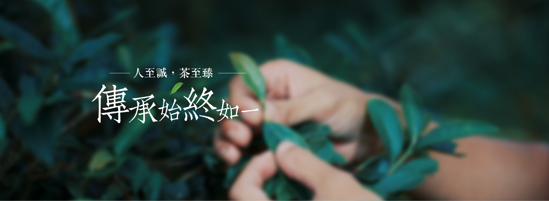 星空娱乐

